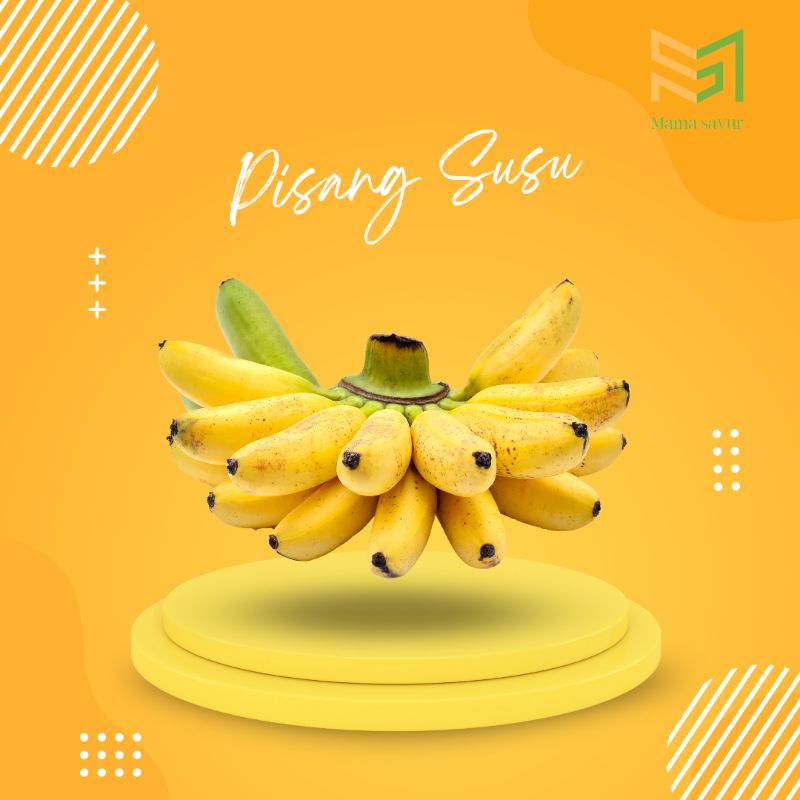 

Pisang susu segar per sisir