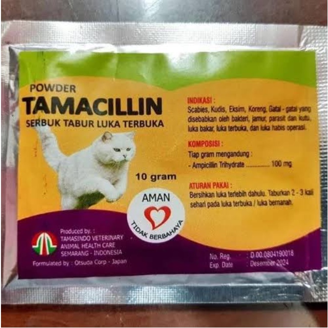 Obat Kucing Luka Terbuka 1nfeksi Bernanah Tamacillin