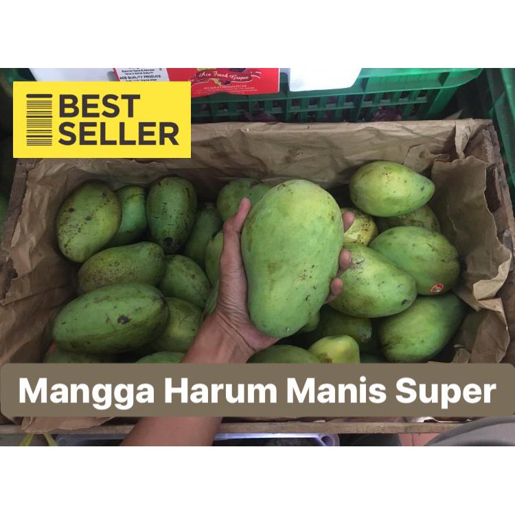 

Mangga Harum Manis / Buah Mangga / Mango / Buah Mangga Harum Manis Premium