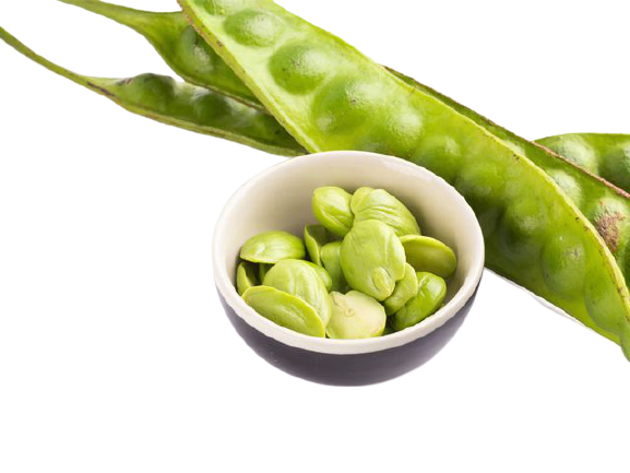 

[7.7] Pete Petai Segar per Papan Sayur Pete petai Lalap