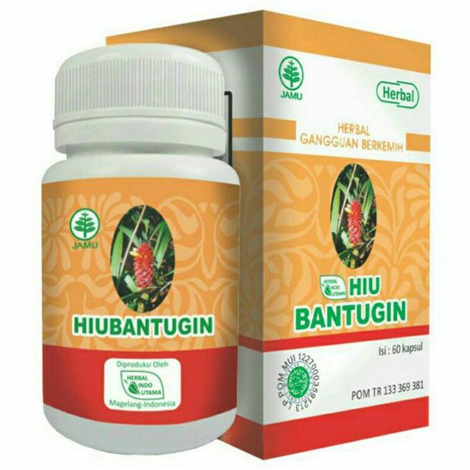 

Perawatan Hiu Bantugin - Herbal Penghancur Batu Ginjal / Gangguan Kemih ^^ **