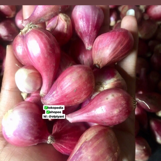 Bawang merah sedang 1kg