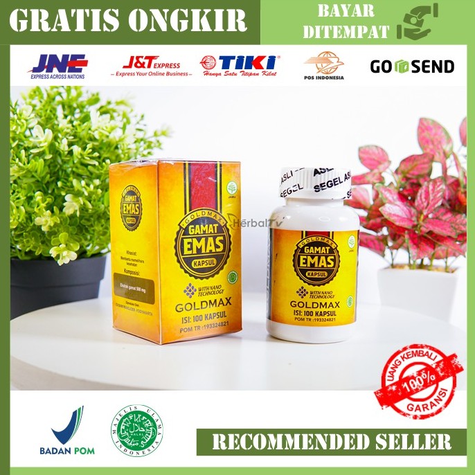 Bisa Cod Obat Sesak Nafas Gamat Emas Kapsul Original With Nano Technologhy