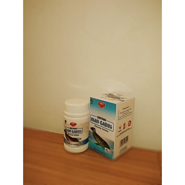 ekstrak ikan gabus channa striata 60 kapsul albumin original