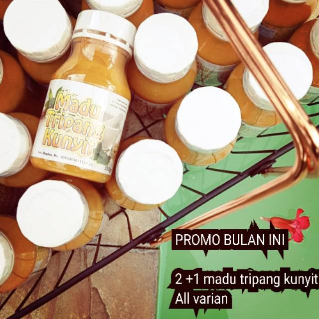 Penyembuh Maag
