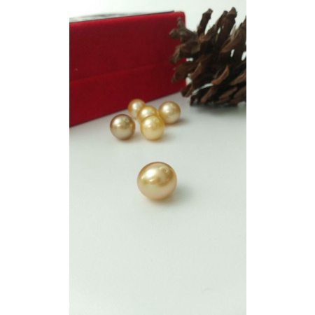 Mutiara Lombok Asli | Ready mutiara air laut grade A