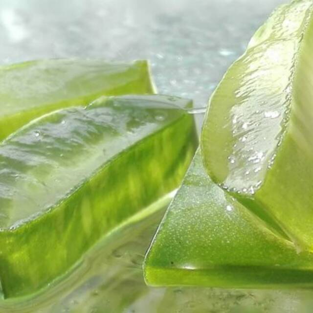 

Minuman Aloevera Terbaik "Javera