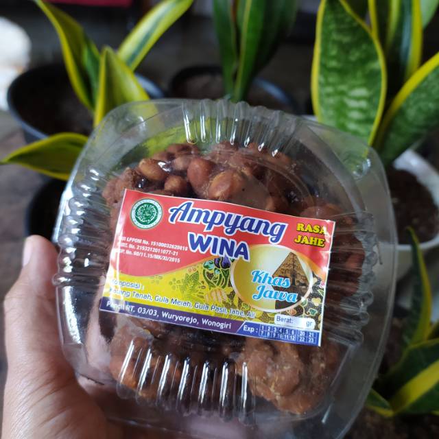 

Oleh - oleh khas Wonogiri Ampyang kacang rasa jahe