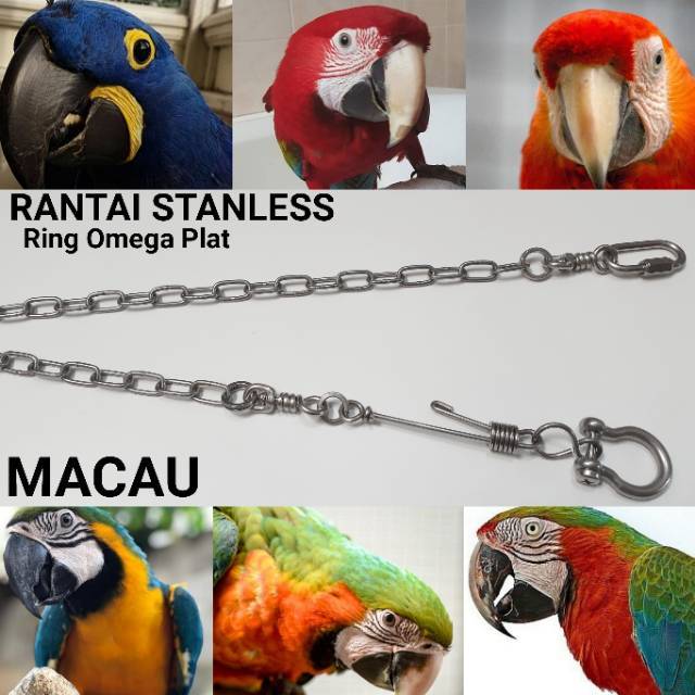 Rantai Macau Ring Omega