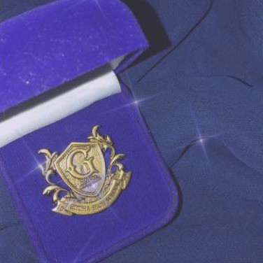 (OFFICIAL) The Gifted pin/ badge