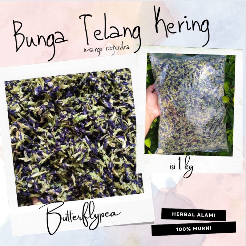 

Bunga Telang Kering 1kg Promo Murah Teh Butterflypea Organik