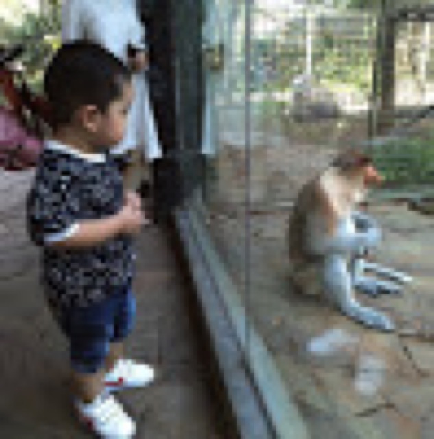 febry.raharja