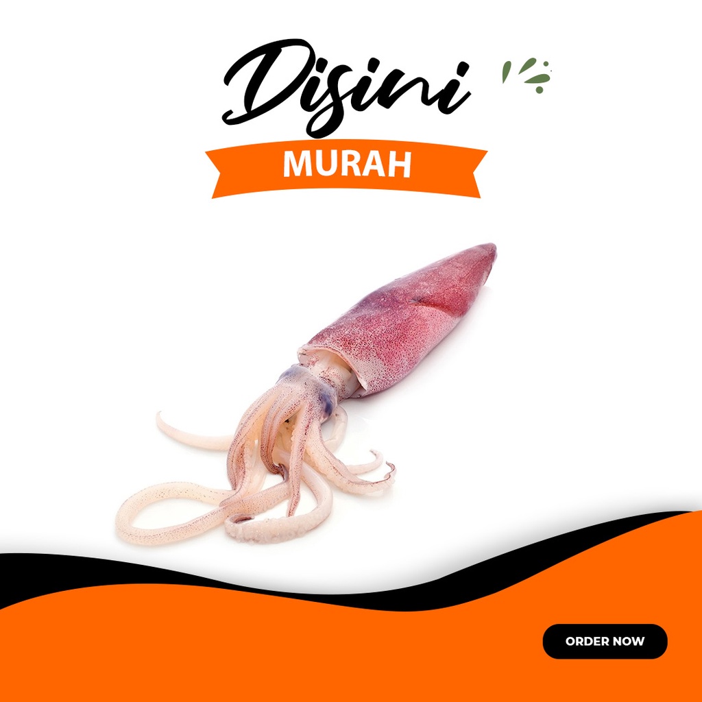 

ikan cumi besar segar