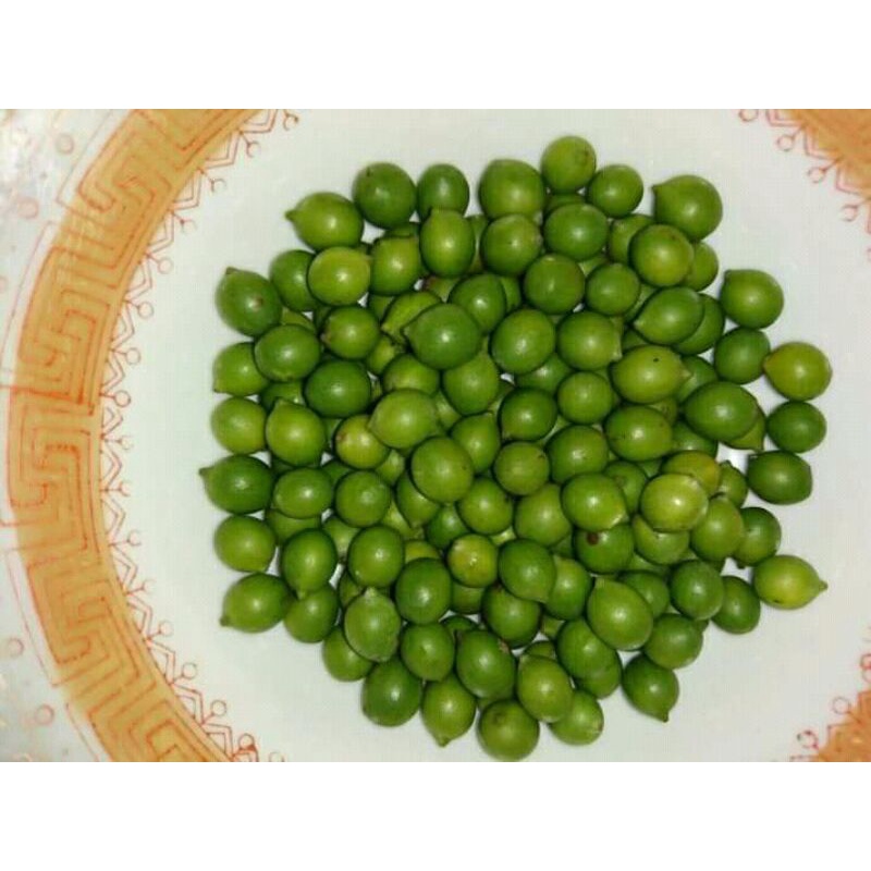 biji lohansung mawar