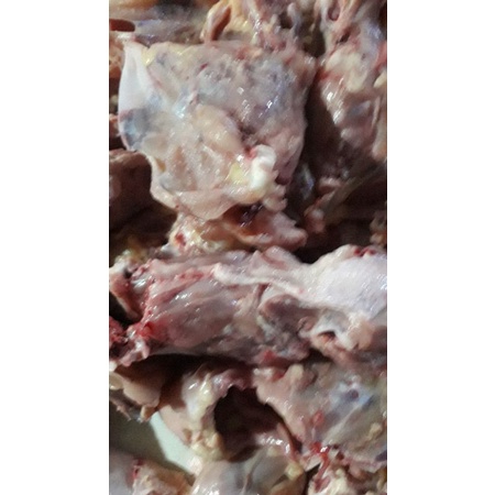 

kerongkong ayam fresh 500grm