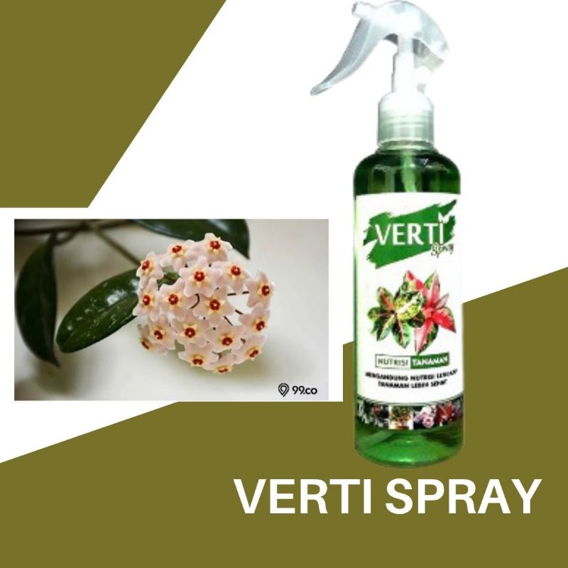 pupuk bunga keladi yang bagus,VERTI SPRAY NUTRISI TANAMAN pupuk cair alami untuk tanaman hias,