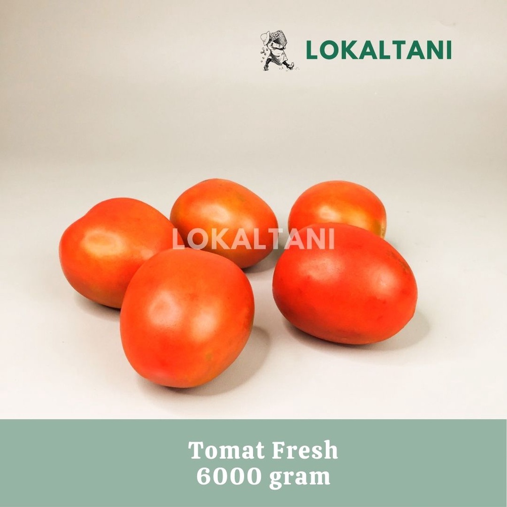 

Tomat Merah Segar | Fresh Red Tomato