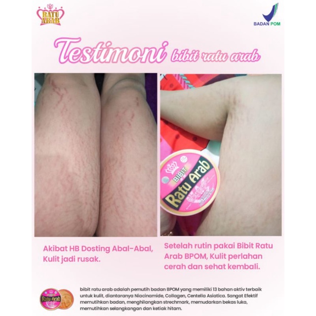 BIBIT RATU ARAB 250gr//ORIGINAL FREE MASKER ORGANIK