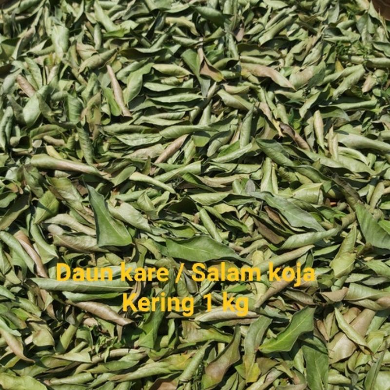 

DAUN SALAM KOJA KERING / DAUN KARE/ DAUN TEMURUI KERING 1 KG