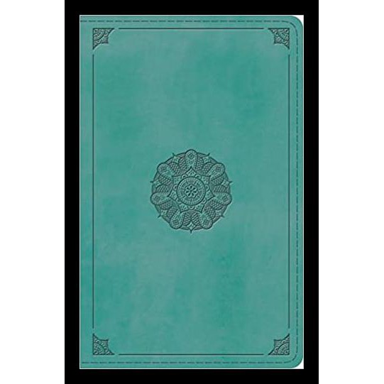Buku Religi/Buku Spiritual Esv Large Print Personal Size Bible (Trutone, Turquoise, Emblem)