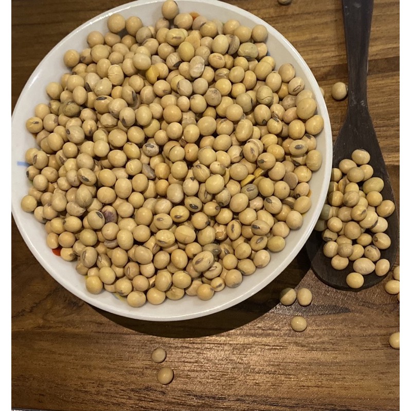 

Kacang kedelai 1 kg import Amerika kualitas terjamin 100% harga per kg