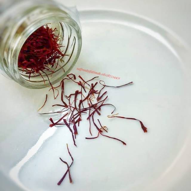 

Shahar angez Kashmiri Premium Shaffron