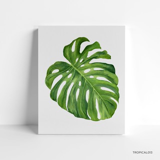 Dekorasi Tropical Monstera  Hiasan  Dinding  Rumah Tropical 