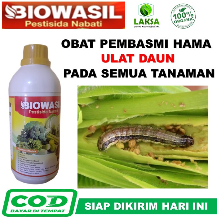 Pestisida Biowasil 500 ML obat Semprot Hama Tanaman - Obat Semprot Hama Ulat Buah Paling Ampuh - Oba
