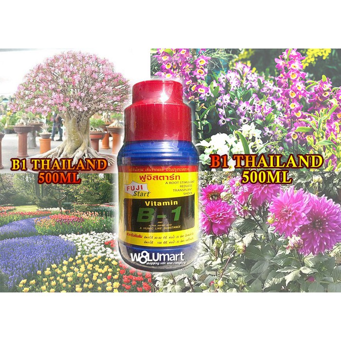 Pupuk B1 Thailand 500 mL