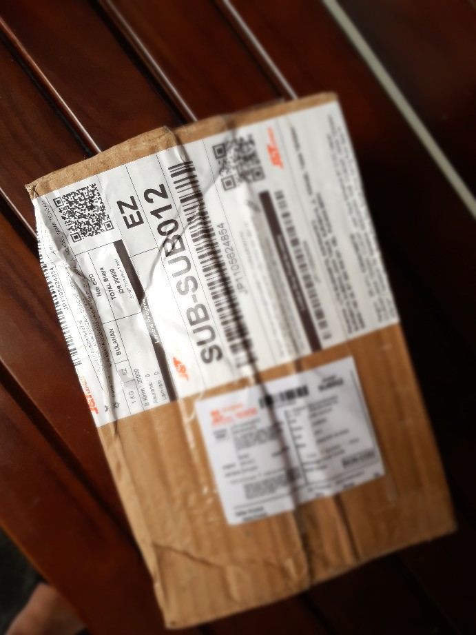 Bunga Pinus Salju Bunga Pinus Kering Putih Salju Hiasan Pohon Natal Dekorasi Natal