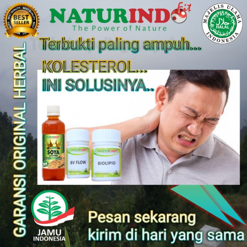 OBAT KOLESTEROL PAKET AMPUH NATURINDO HERBAL