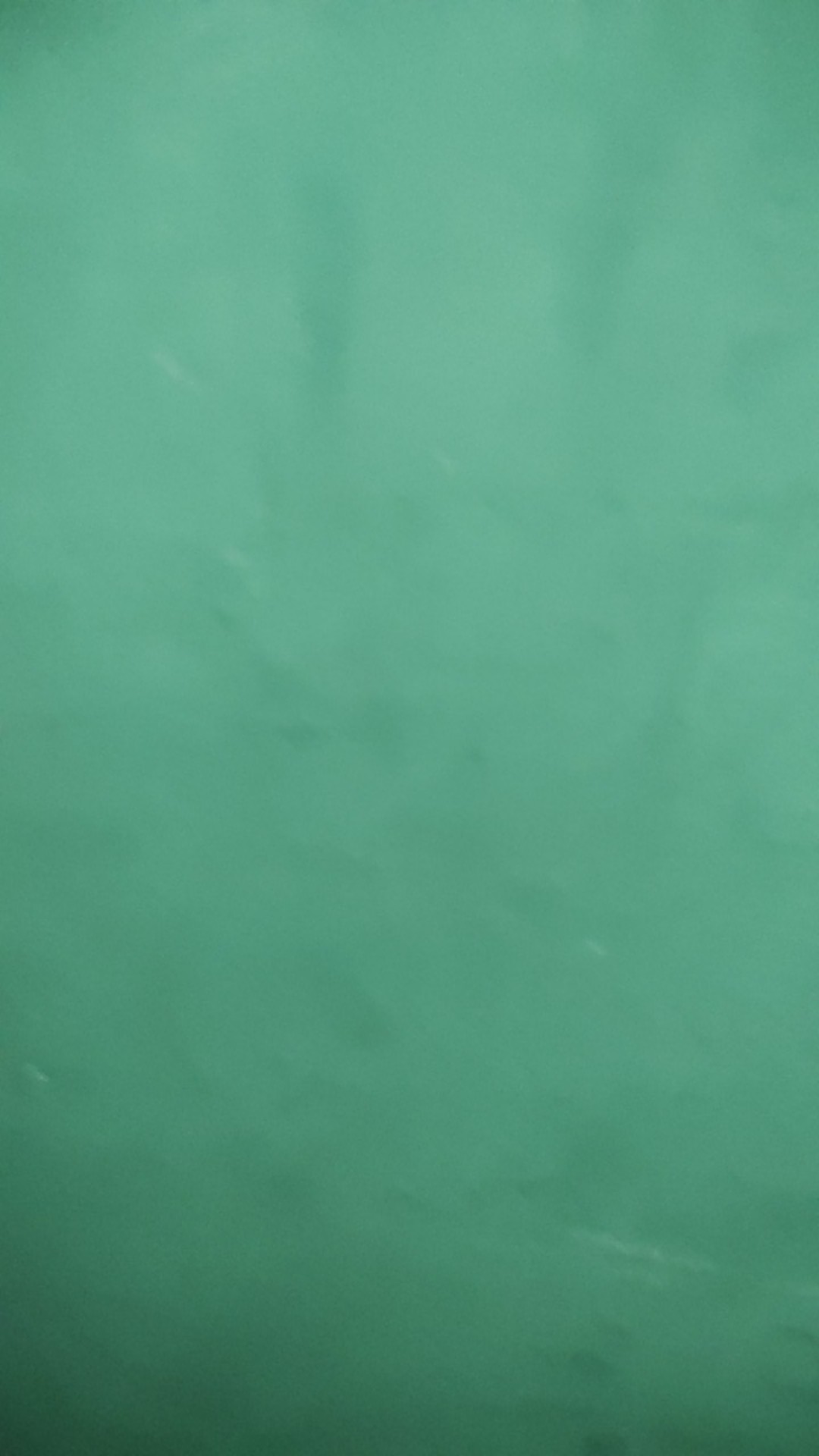 Sapu Hana Semangka/watermelon Broom