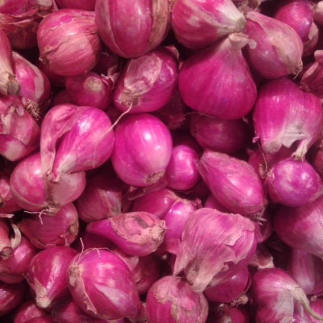 

Bawang merah Brebes