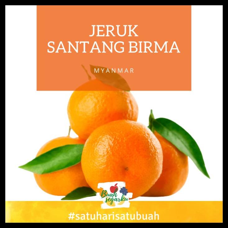 

Jeruk Santang Birma Myanmar Per Kg