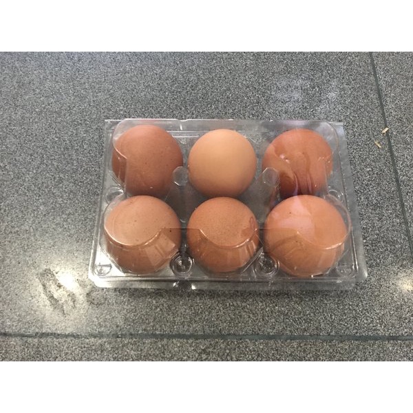 

Telur Ayam 6 butir packed mika