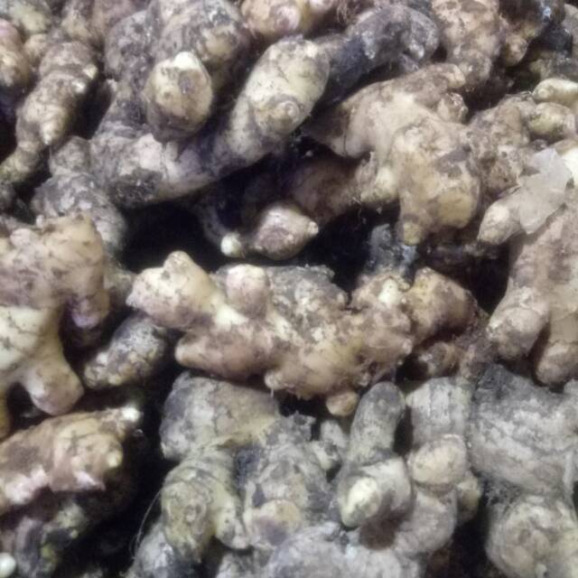 

Bumbu dapur Jahe 500gr