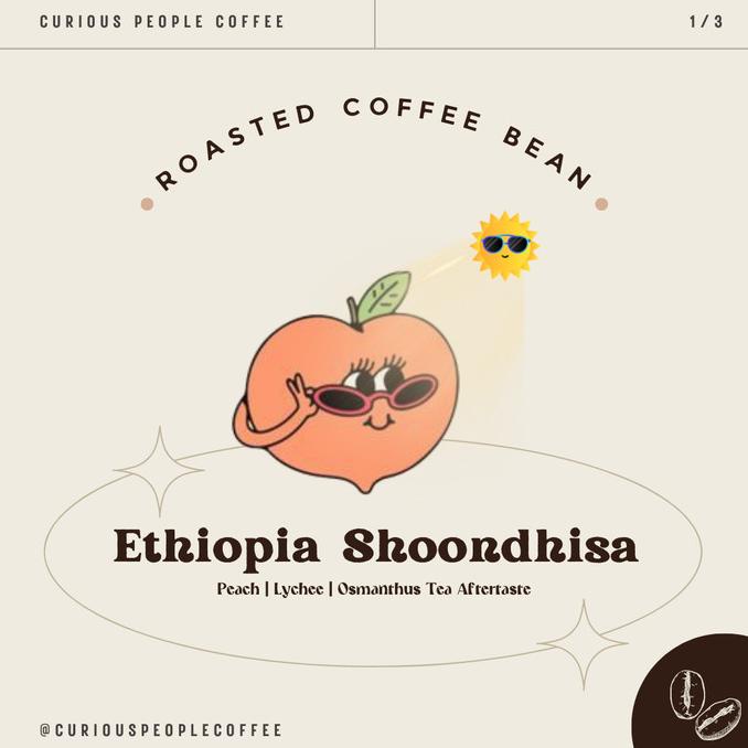 

[COD] Biji Kopi Manual Brew Arabika - Ethiopia Shoondhisa - 200g [COD]