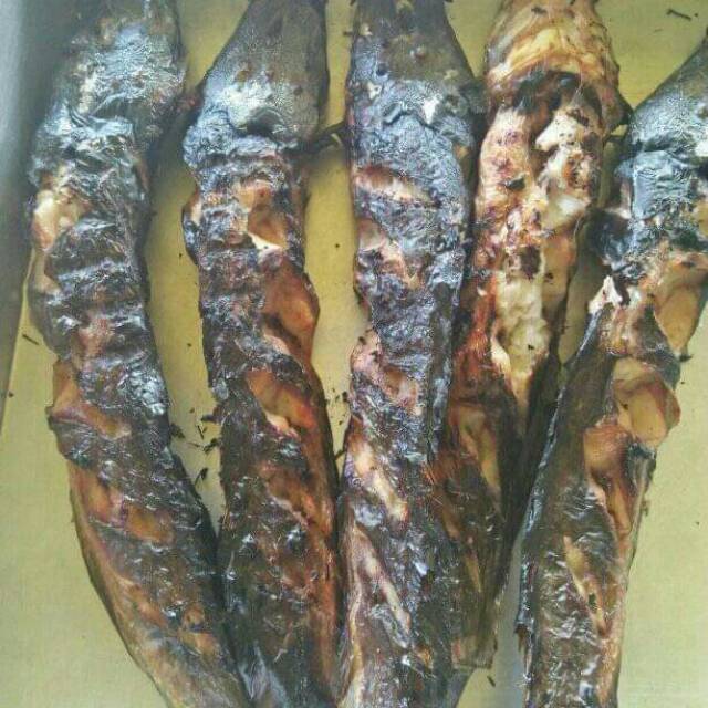 ikaryaningsih