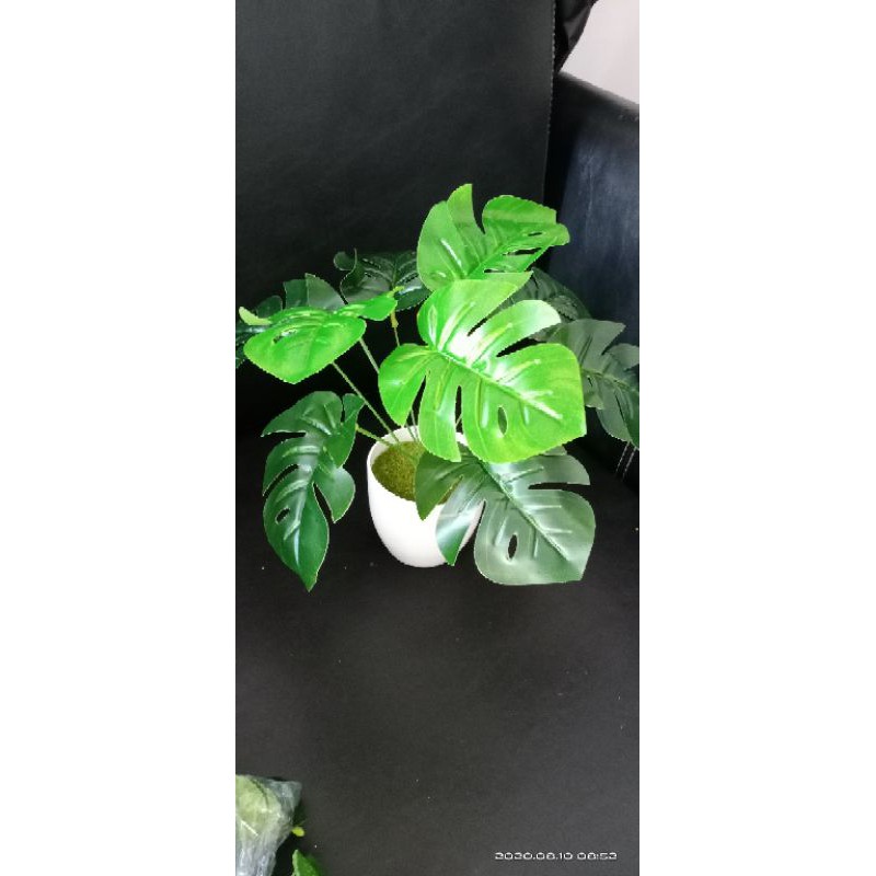 monstera artificial + pot
