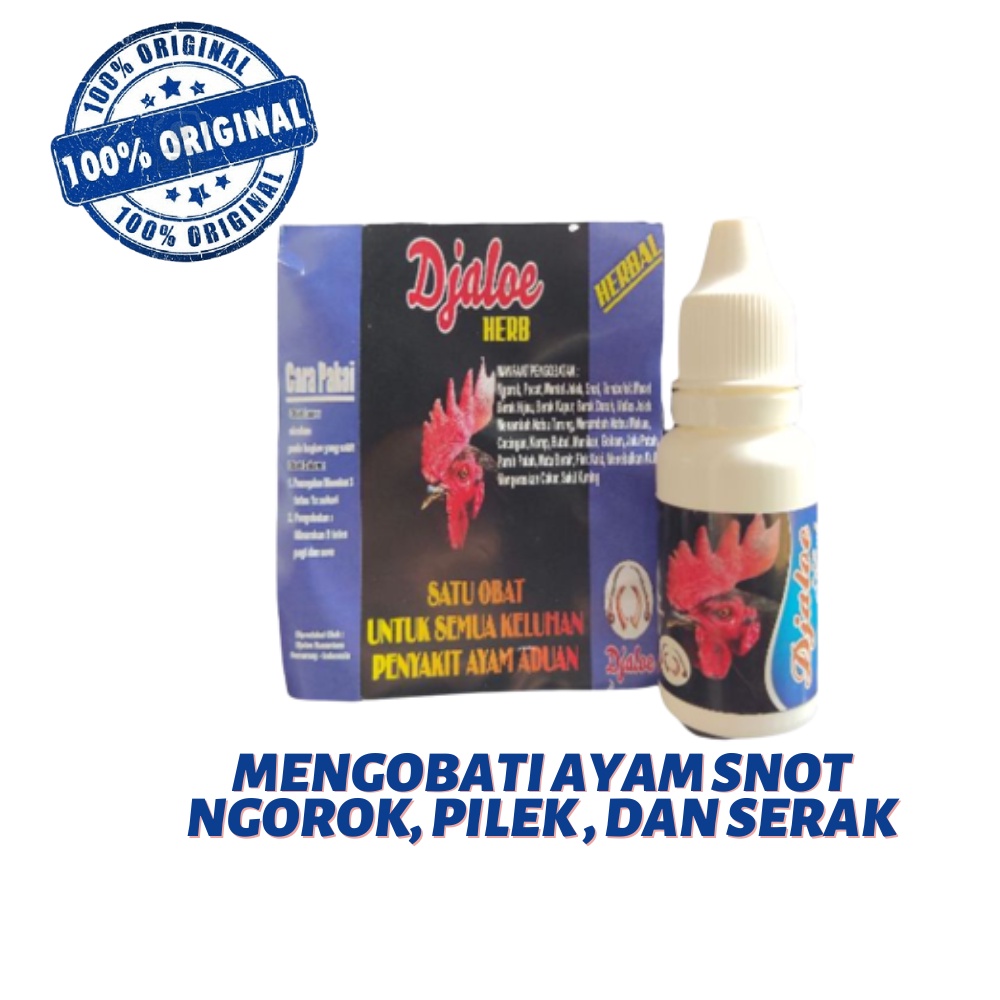 DJALOE HERBAL - ayam sakit apapun - sakit ngorok