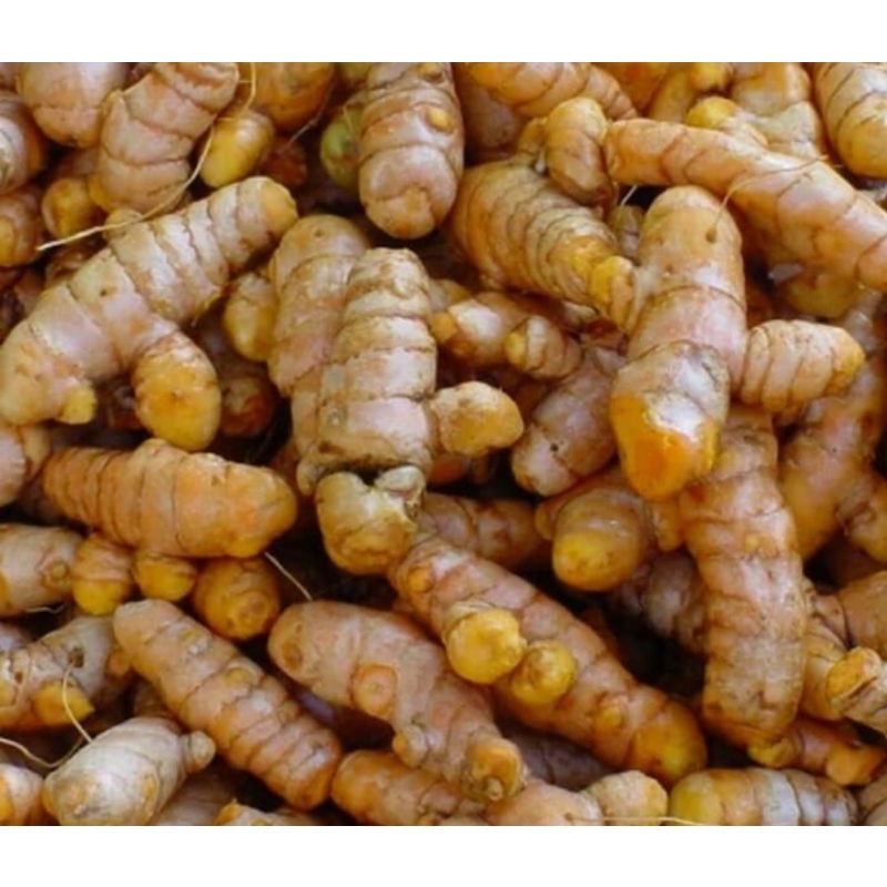 

kunyit rempah basah 250 gr