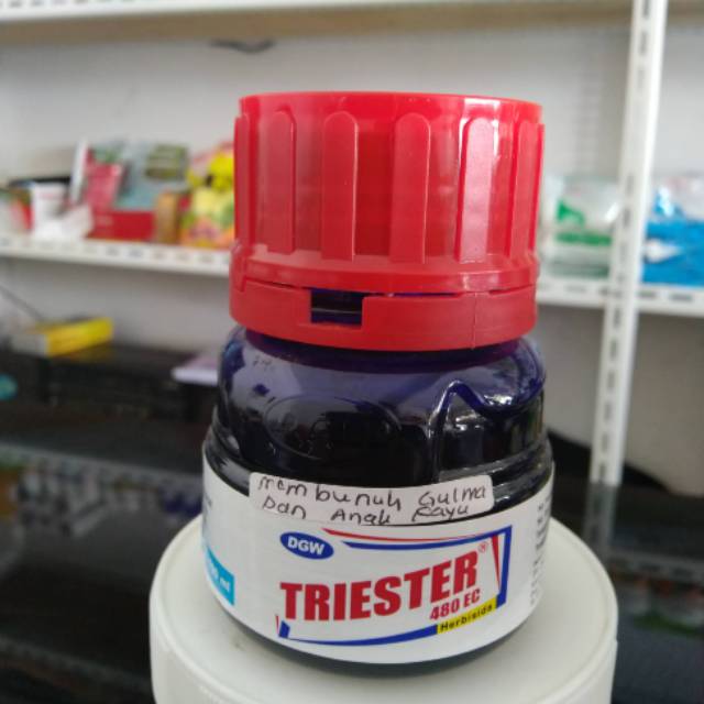 Triester 480 ec herbisida pembasmi kayu