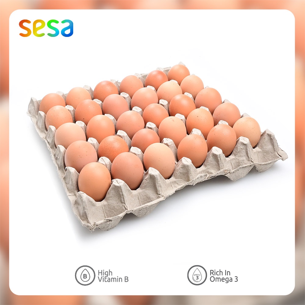 

Telur Ayam Negeri Best Value 30 Butir