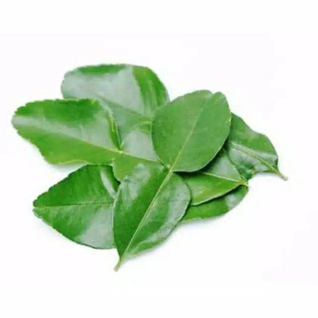 

Daun jeruk (1 pack) dappor nyai pasar online