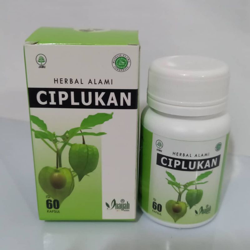 

Kapsul Daun Ciplukan Ceplukan Physalis Inayah
