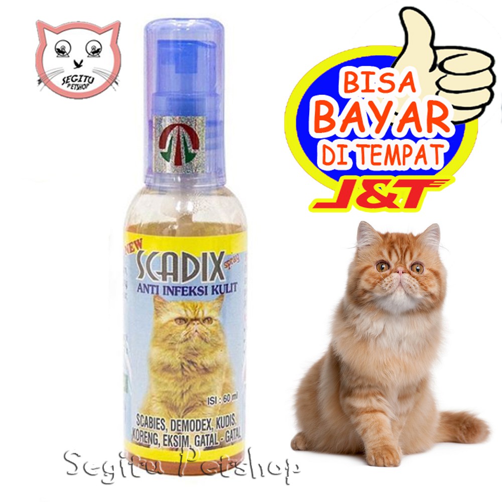 OBAT JAMUR KUCING SCABIES LUKA KORENG SCADIX