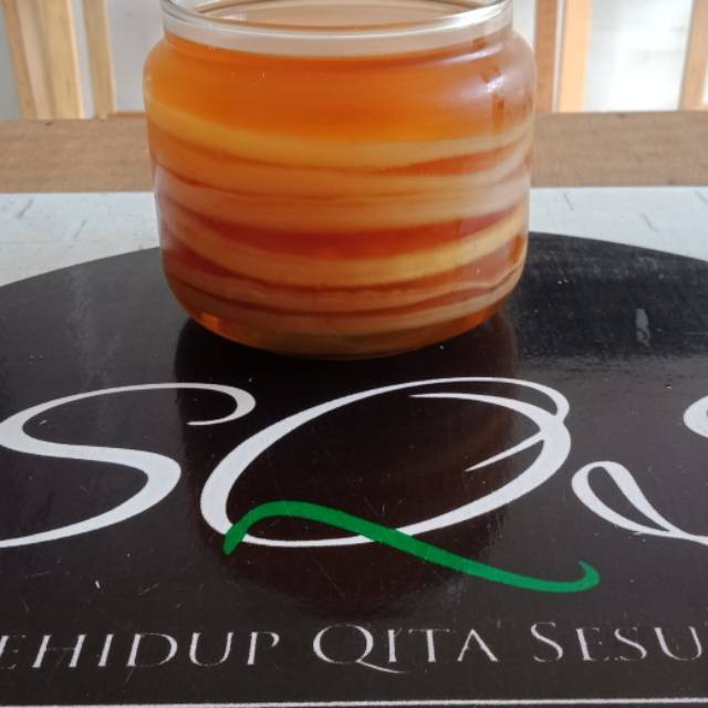 Scoby Kombucha