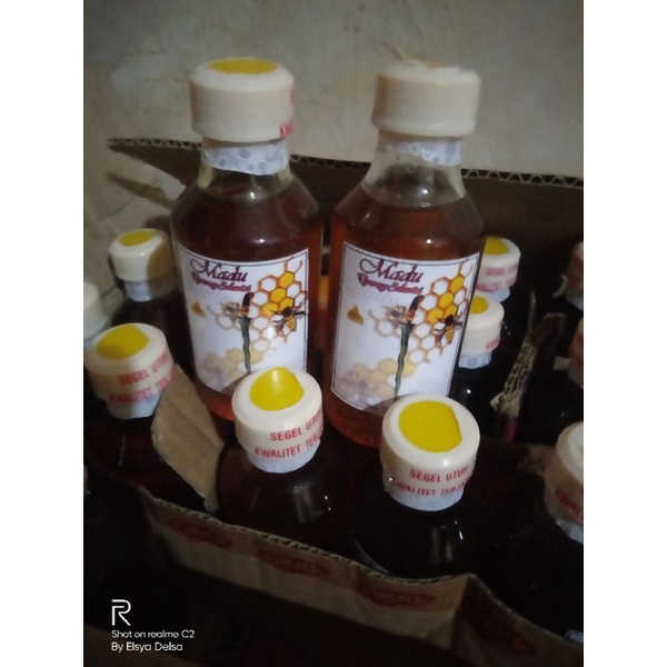 

MADU ASLI / MADU TERBAIK / MADU MURAH