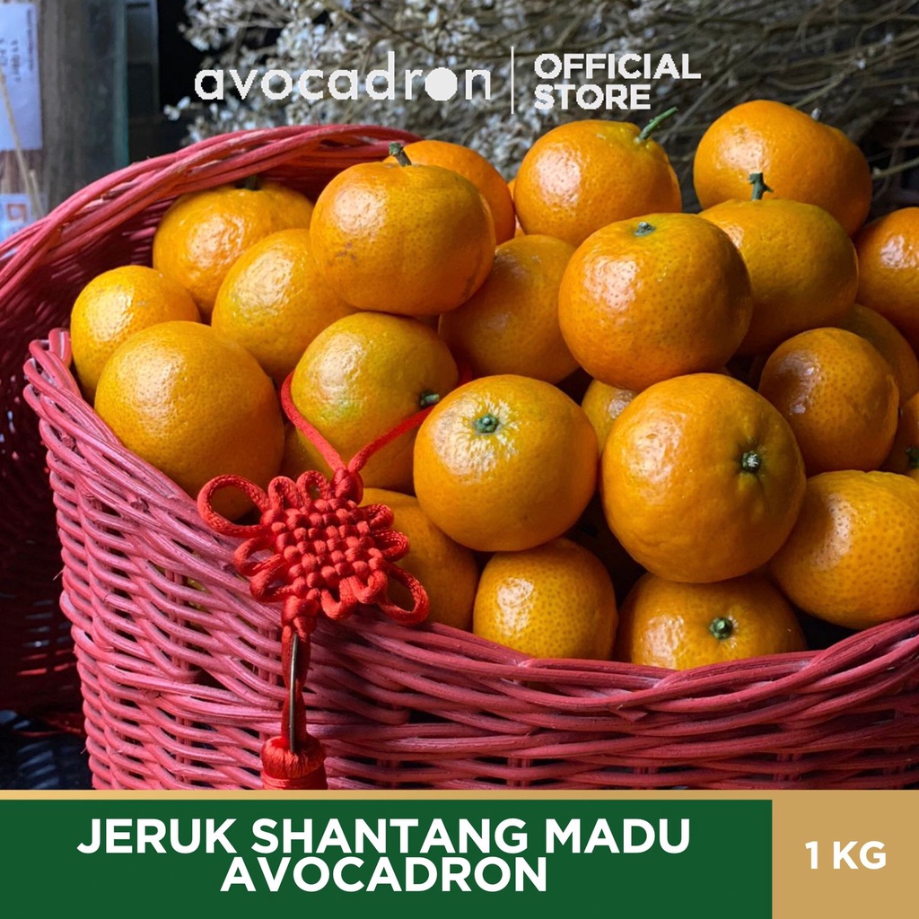 

JERUK SHANTANG MADU AVOCADRON