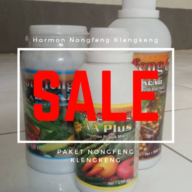 Paket Pupuk Nongfeng Kelengkeng Hormon Pembuahan Kelengkeng Diluar Musim